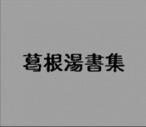 Neon Genesis Evangelion Slideshow E (PD) Rom